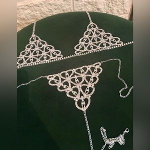 Silver Rhinestone Body Chain with rhinestone bikini Panty set.